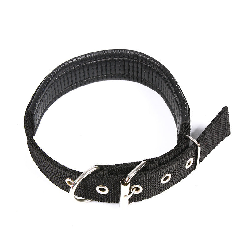 Stylish and Adjustable Dog Collar with Variety of Colors