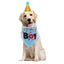 Dog Birthday Party Kit