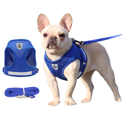 Breathable and Stylish Pet Harness with Leash Set