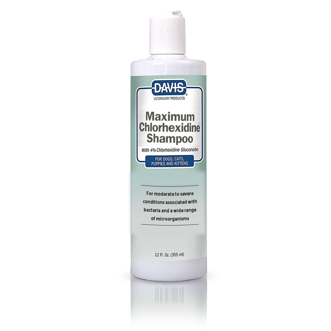Maximum Chlorhexidine Shampoo 4%