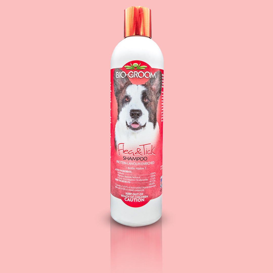 Flea & Tick Shampoo for Dogs