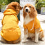 Dog Hoodie with Pocket