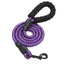 Dog Leash with Handle