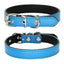 Classic Padded Leather Pet Collar