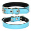 Classic Padded Leather Pet Collar