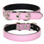 Classic Padded Leather Pet Collar