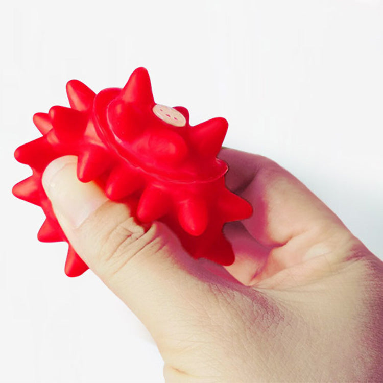 Spiky Ball Biting Chewing Toys (2 Pcs in the package)