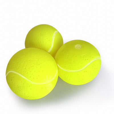 Squeaky Tennis Balls for Dogs